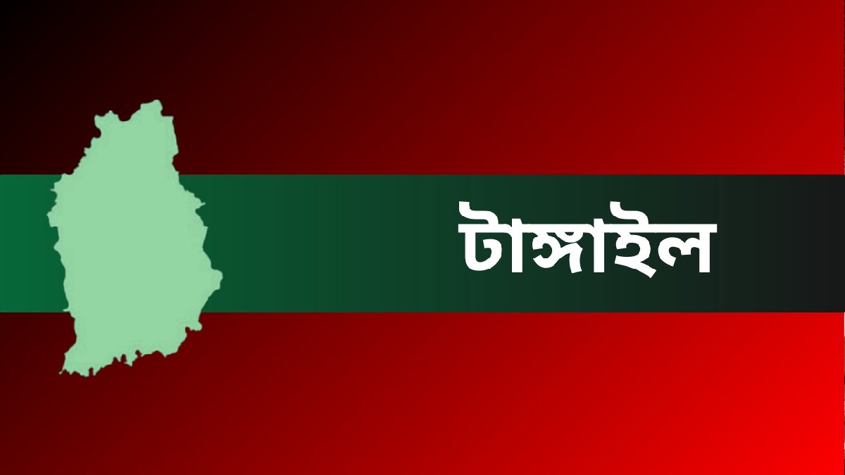 টাঙ্গাইলের ৮টি আসনে বিএনপির প্রার্থীদের সম্পদচিত্র
