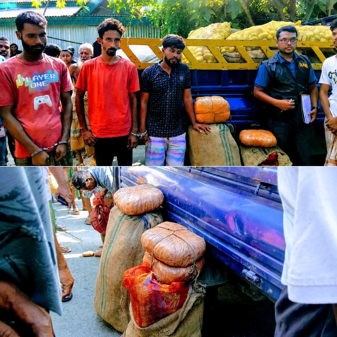 আলুর আড়ালে চলত ক্যানাবিস ব্যবসা গোপালপুরে ৪০ কেজি গাঁজাসহ আটক ৩