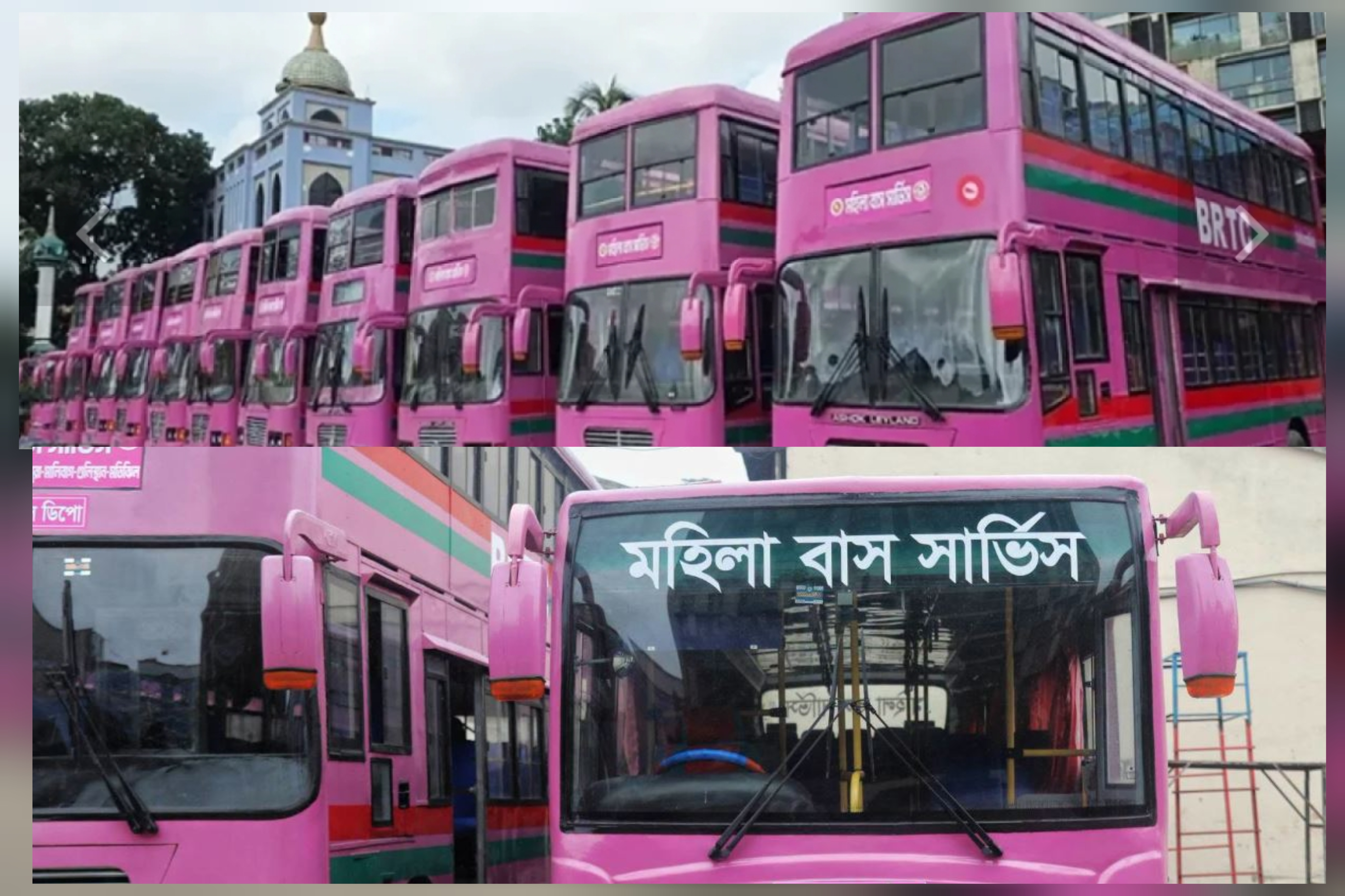 রাজধানীতে নারীদের জন্য চালু হচ্ছে ‘পিংক বাস’, উদ্বোধন কাল