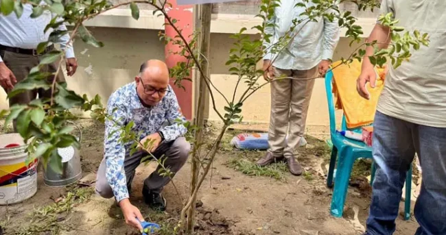 সবুজ বাংলাদেশ’ গড়ার প্রত্যয়ে মদনে শিক্ষার্থীদের মাঝে গাছের চারা বিতরণ