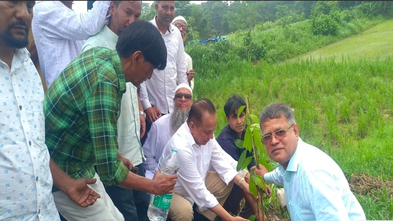 সিংগাইরে বিএনপির ৪৮তম প্রতিষ্ঠাবার্ষিকীতে বৃক্ষরোপণ কর্মসূচি
