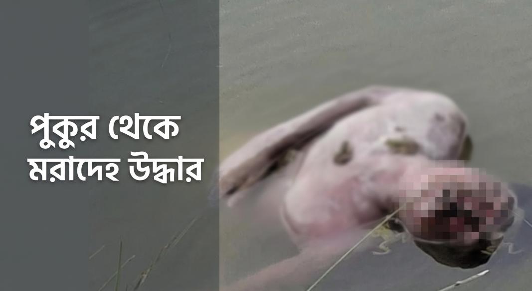 বালিয়াডাঙ্গীতে পুকুর থেকে ব্যক্তির মরদেহ উদ্ধার