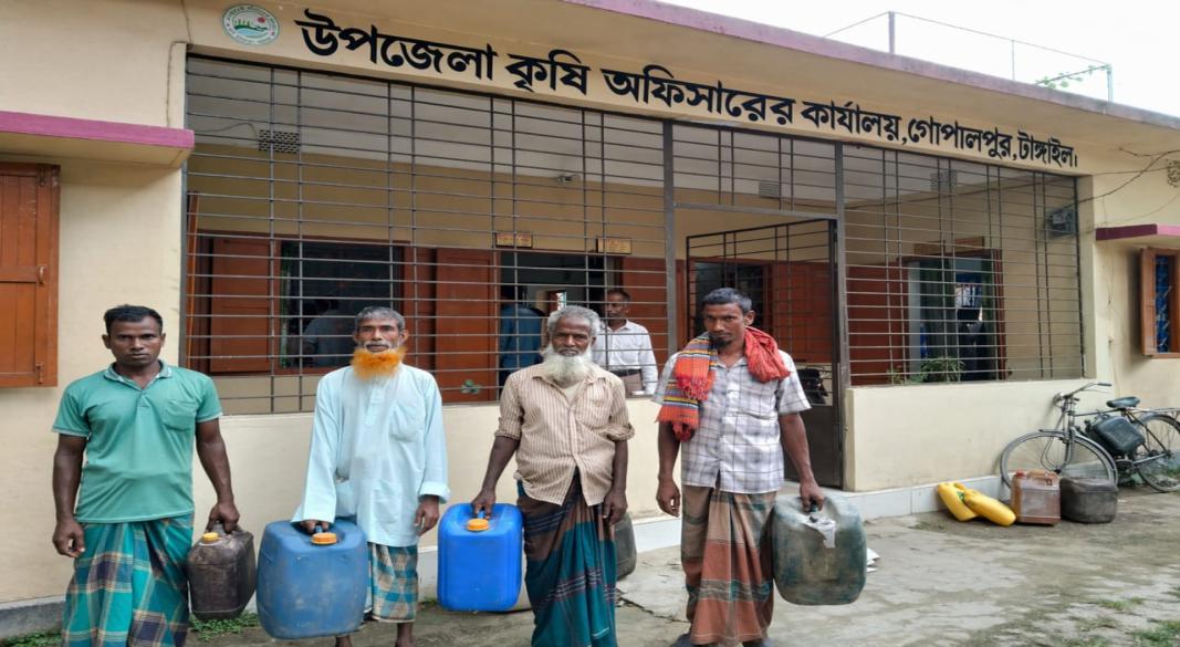 গোপালপুরে বিদ্যুৎ ও ডিজেল সংকটে বোরো ফসল হুমকিতে