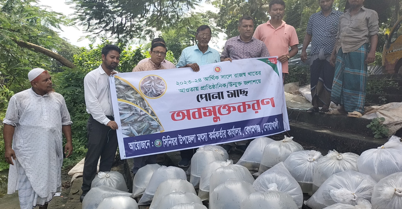 নোয়াখালীর বেগমগঞ্জে প্রাতিষ্ঠানিক, উন্মুক্ত জলাশয়ে পোনা মাছ অবমুক্তকরণ।