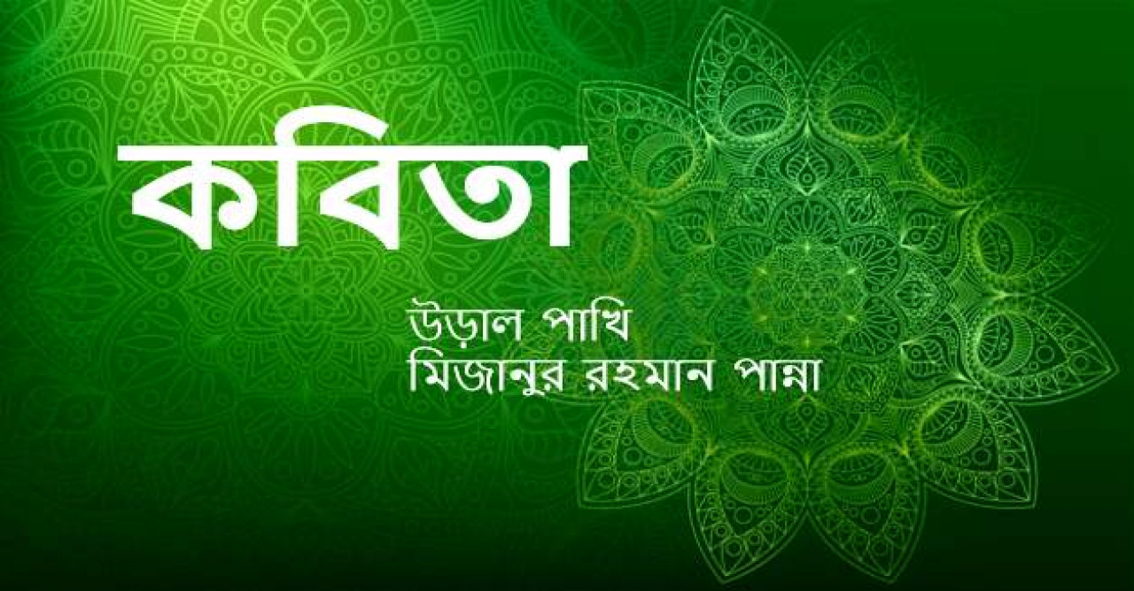 উড়াল পাখি (মিজানুর রহমান পান্না)
