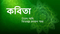 উড়াল পাখি (মিজানুর রহমান পান্না)